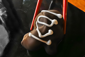 Sugar Dairy Nuts